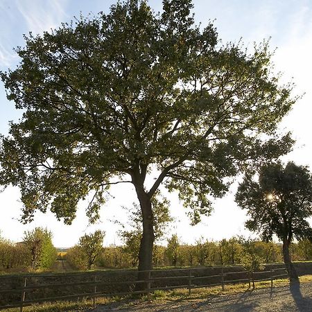 Agriturismo Lucerna del Lago Prile Castiglione della Pescaia Exterior foto